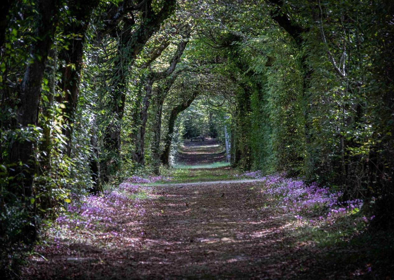La Borde En Sologne Château&spa Vernou-en-Sologne